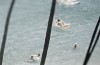 bathers 10